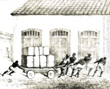 These House-Negroes Still Think We’re Cursed